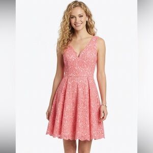 Anthropologie Maeve Claribel Jacquard Fit RETRO VIBE Pink Floral  Dress Size 4